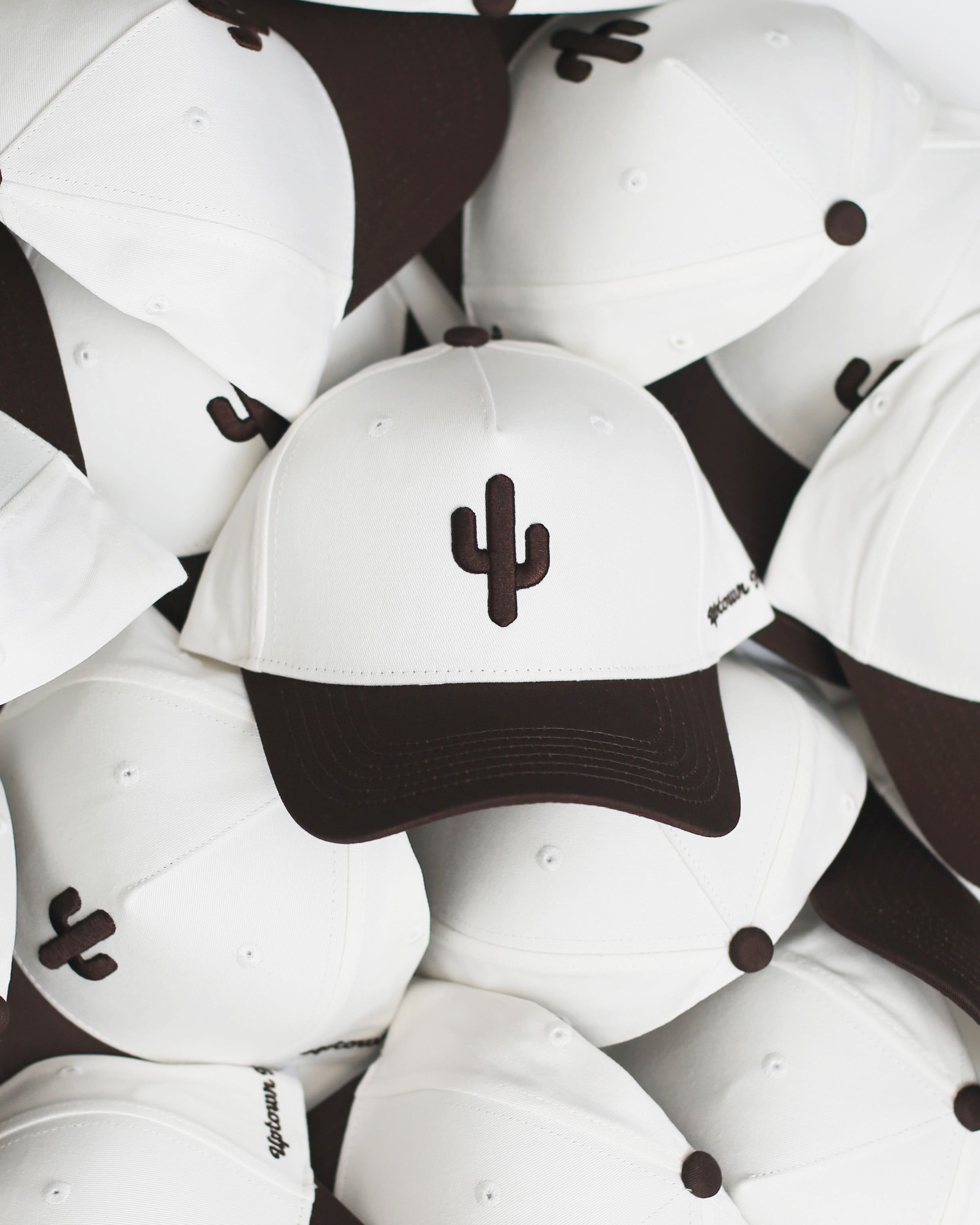 Cactus Snapback Hat
