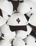 Cactus Snapback Hat