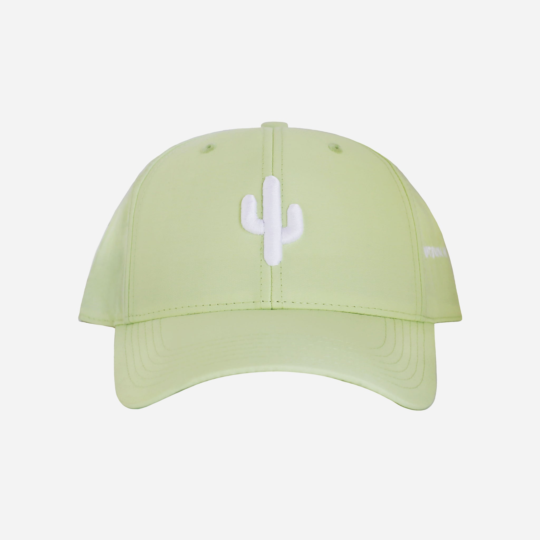 Lime Cactus Hat Snapback