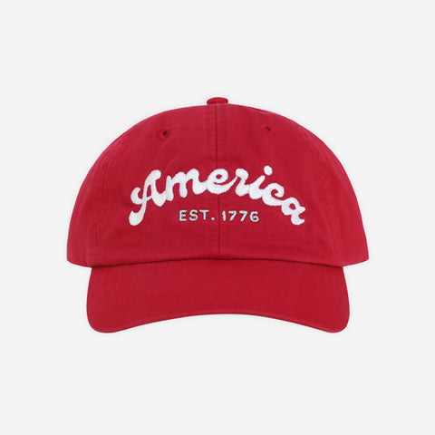 America Dad Hat