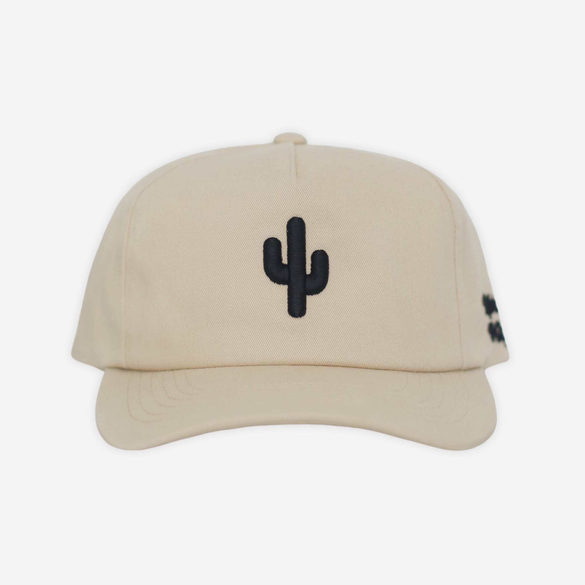 Cactus Unstructured Snapback Hat