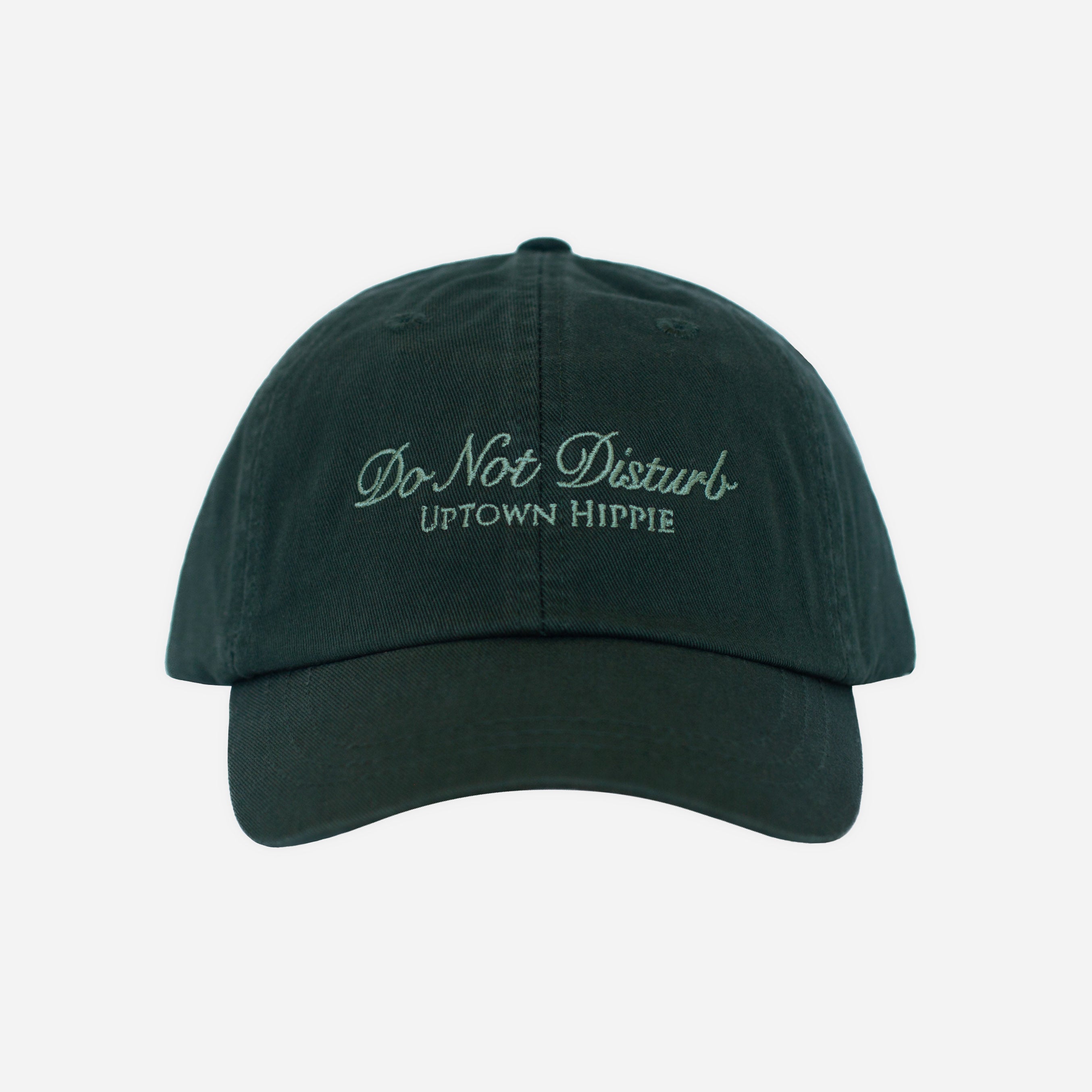 Do Not Disturb Dad Hat