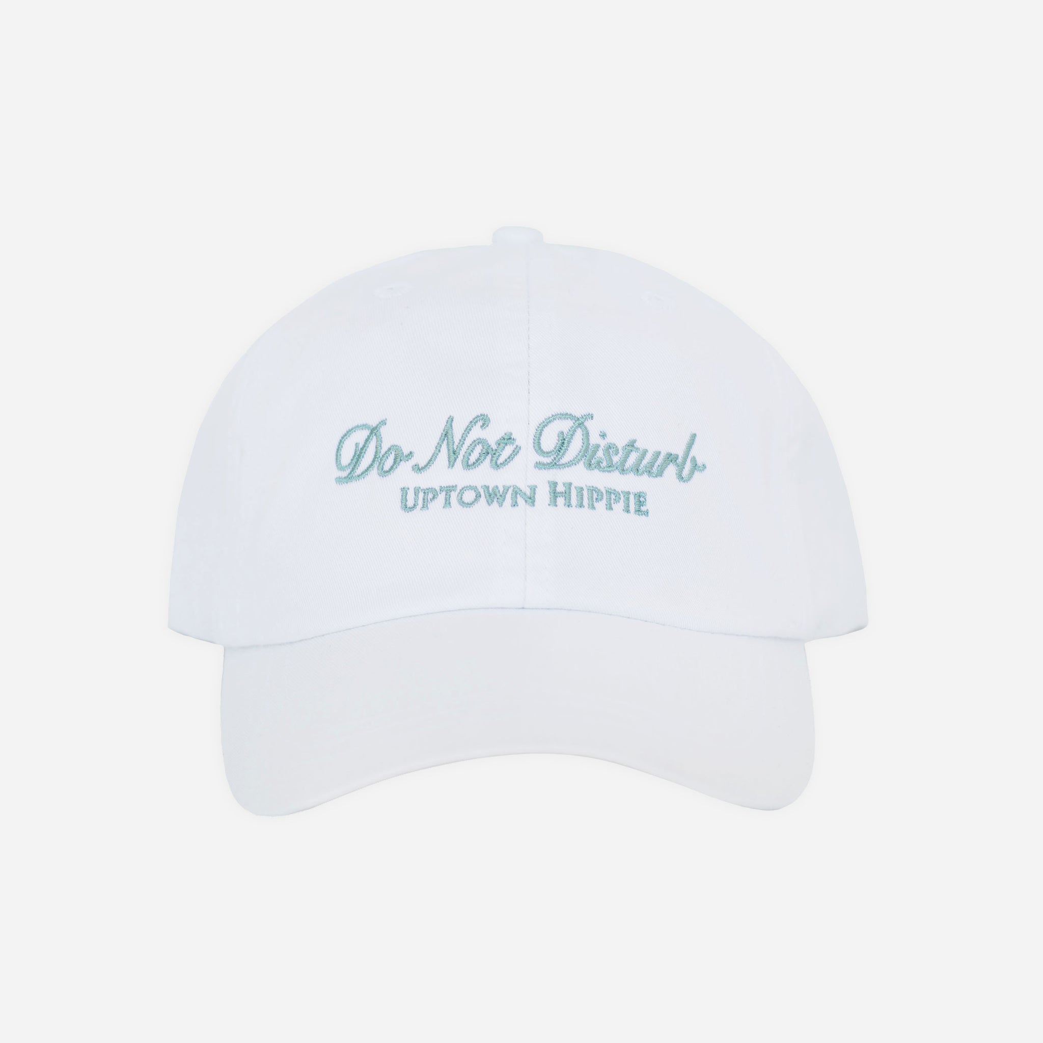 Do Not Disturb Dad Hat