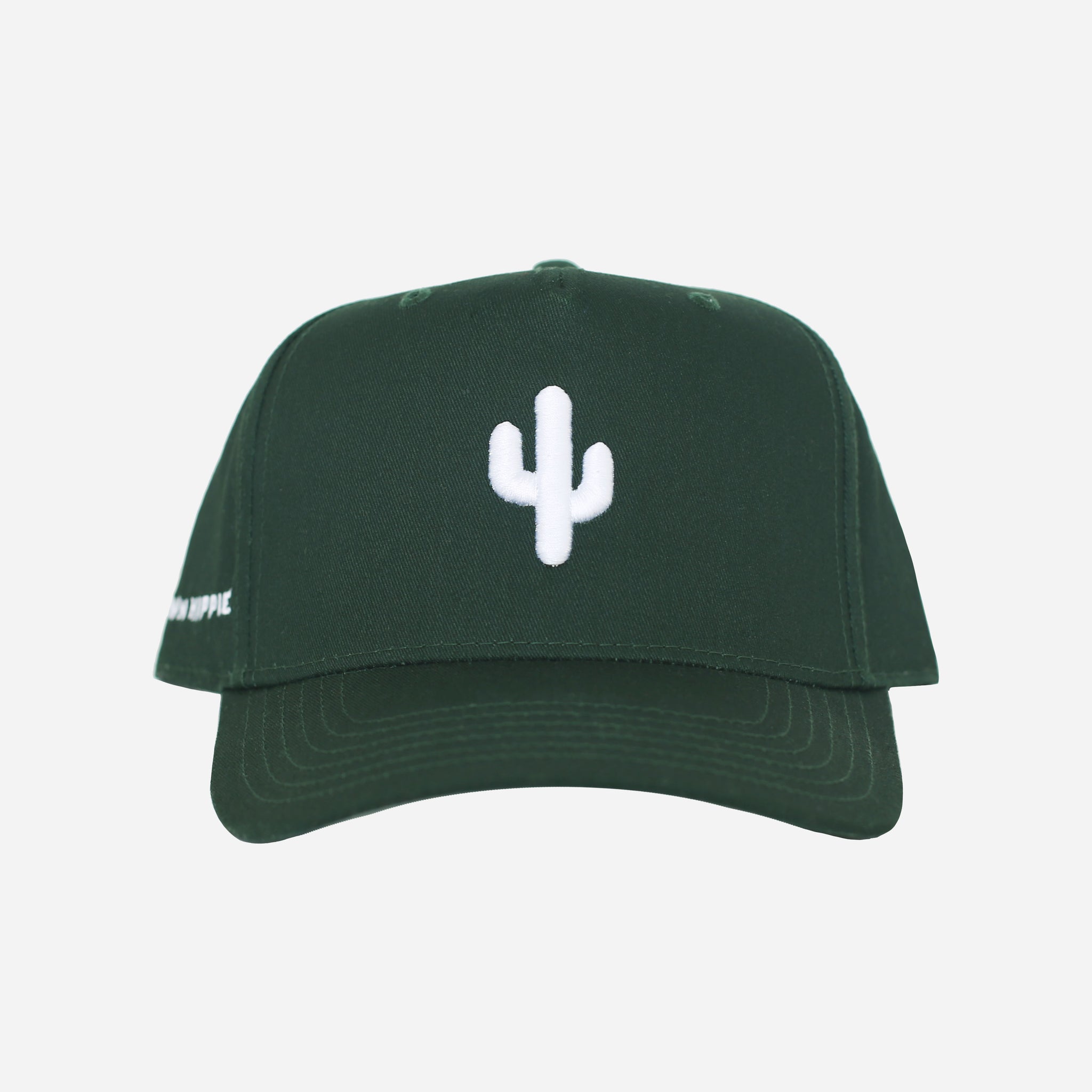 Cactus Snapback Hat