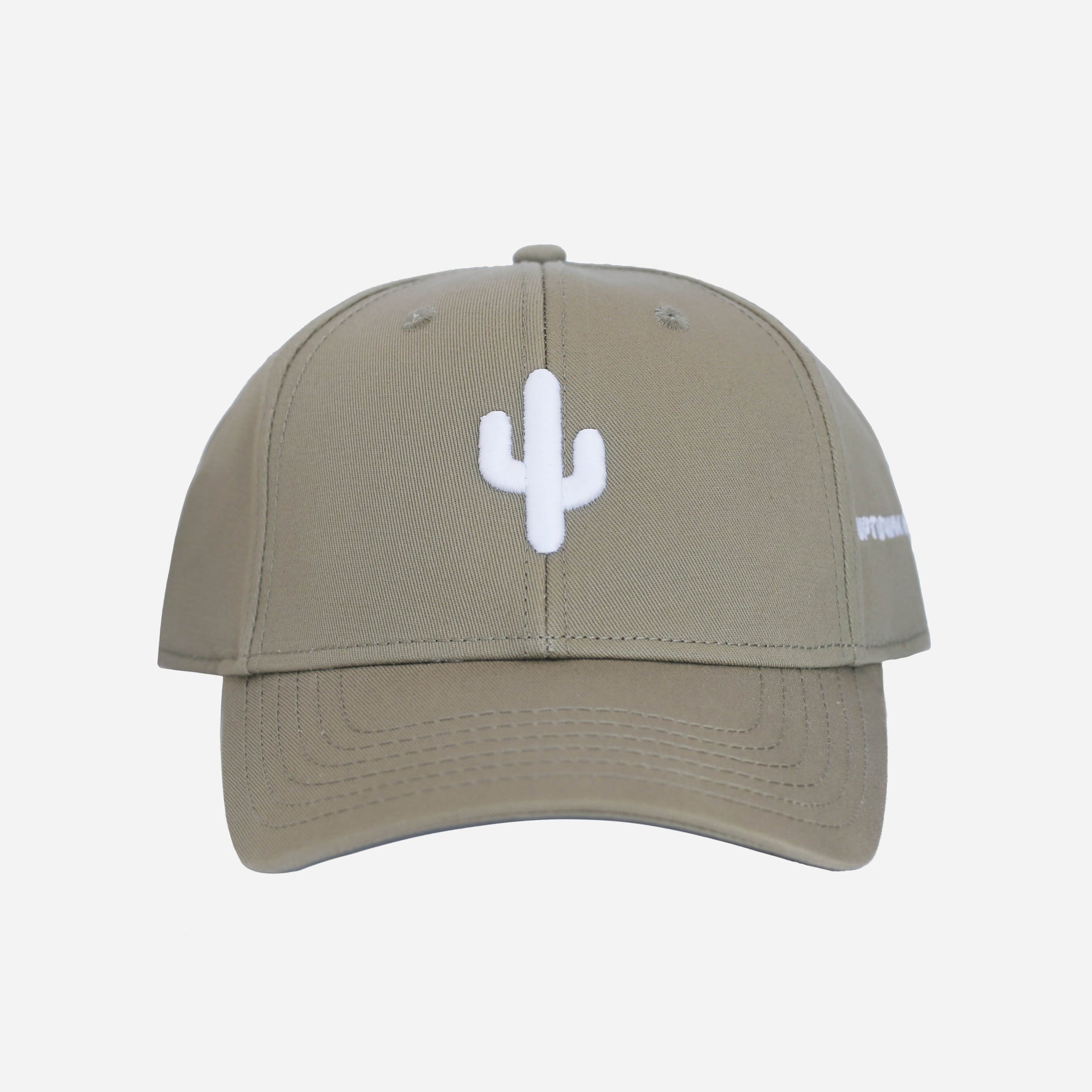 Cactus Snapback Hat