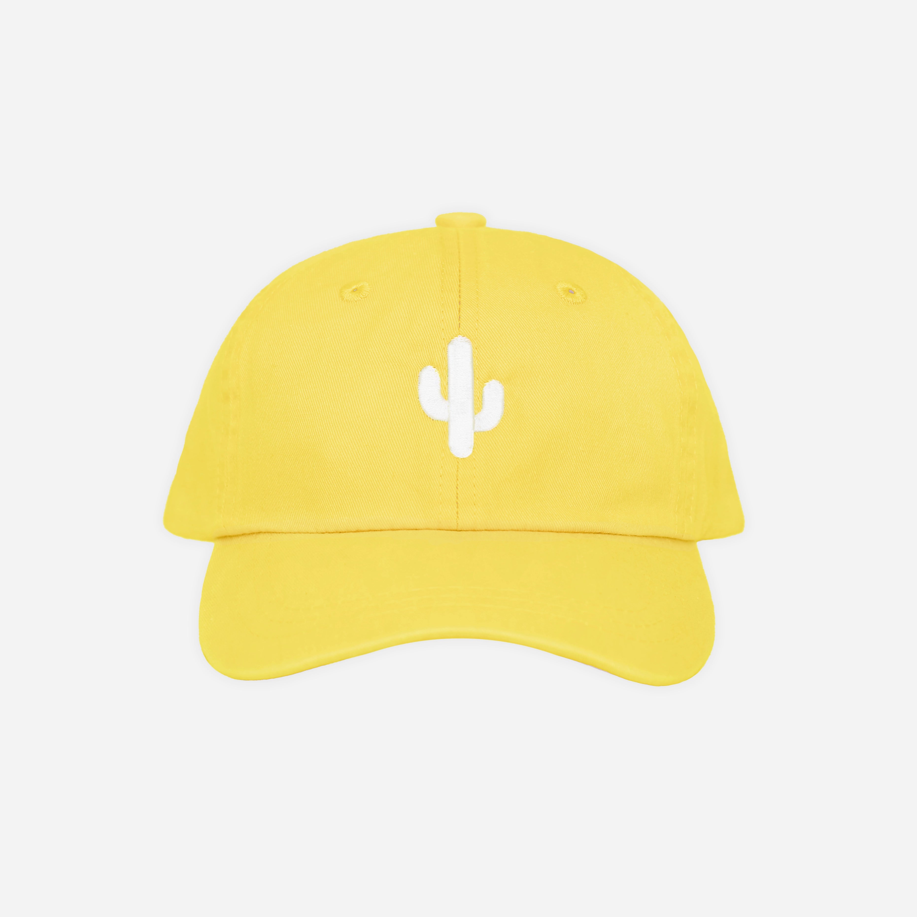 Cactus Dad Hat | Youth