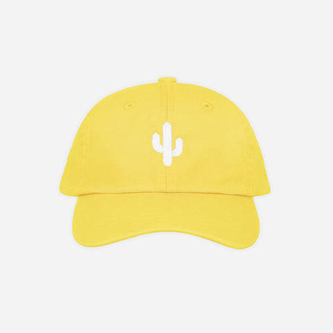 Cactus Dad Hat | Youth