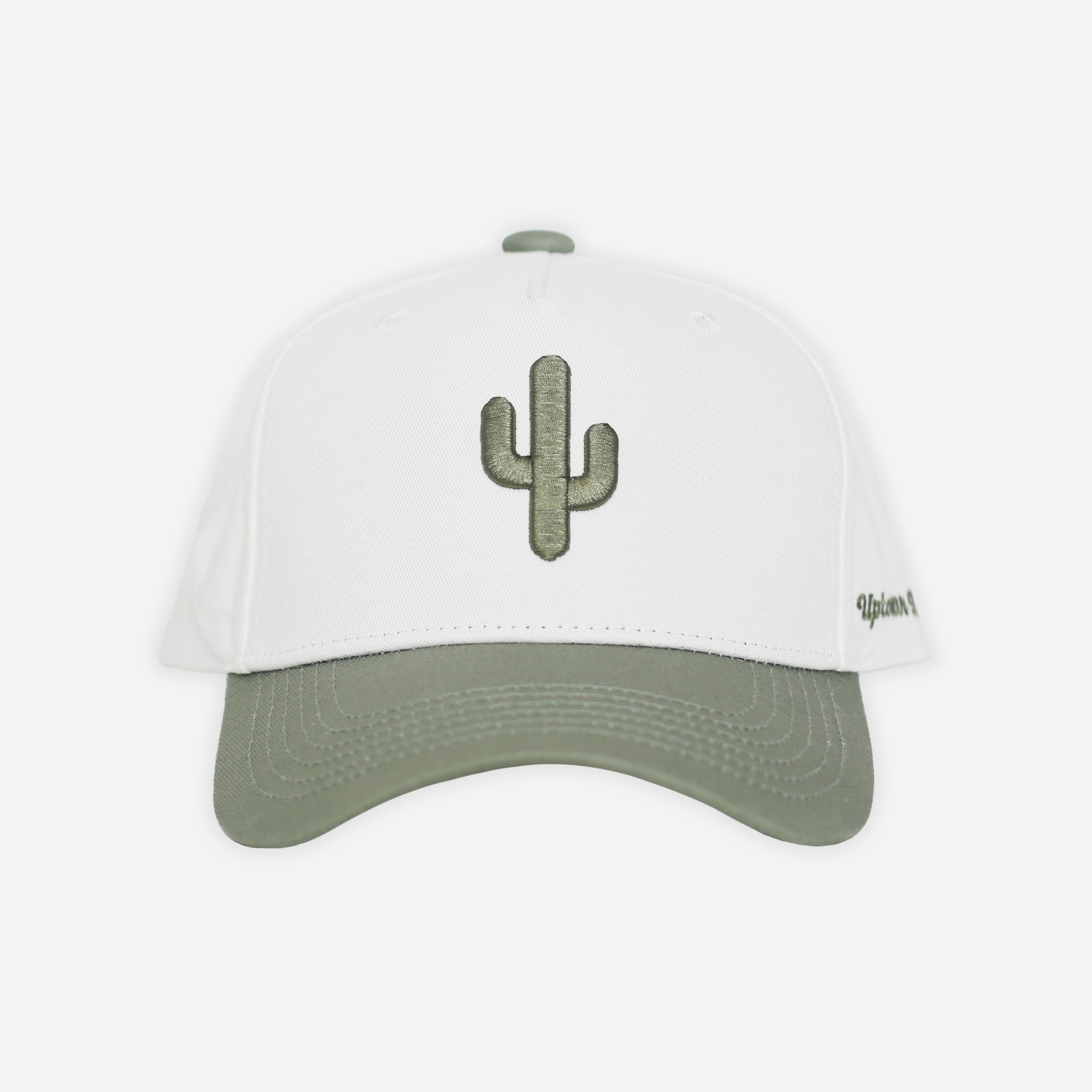 Cactus Snapback Hat