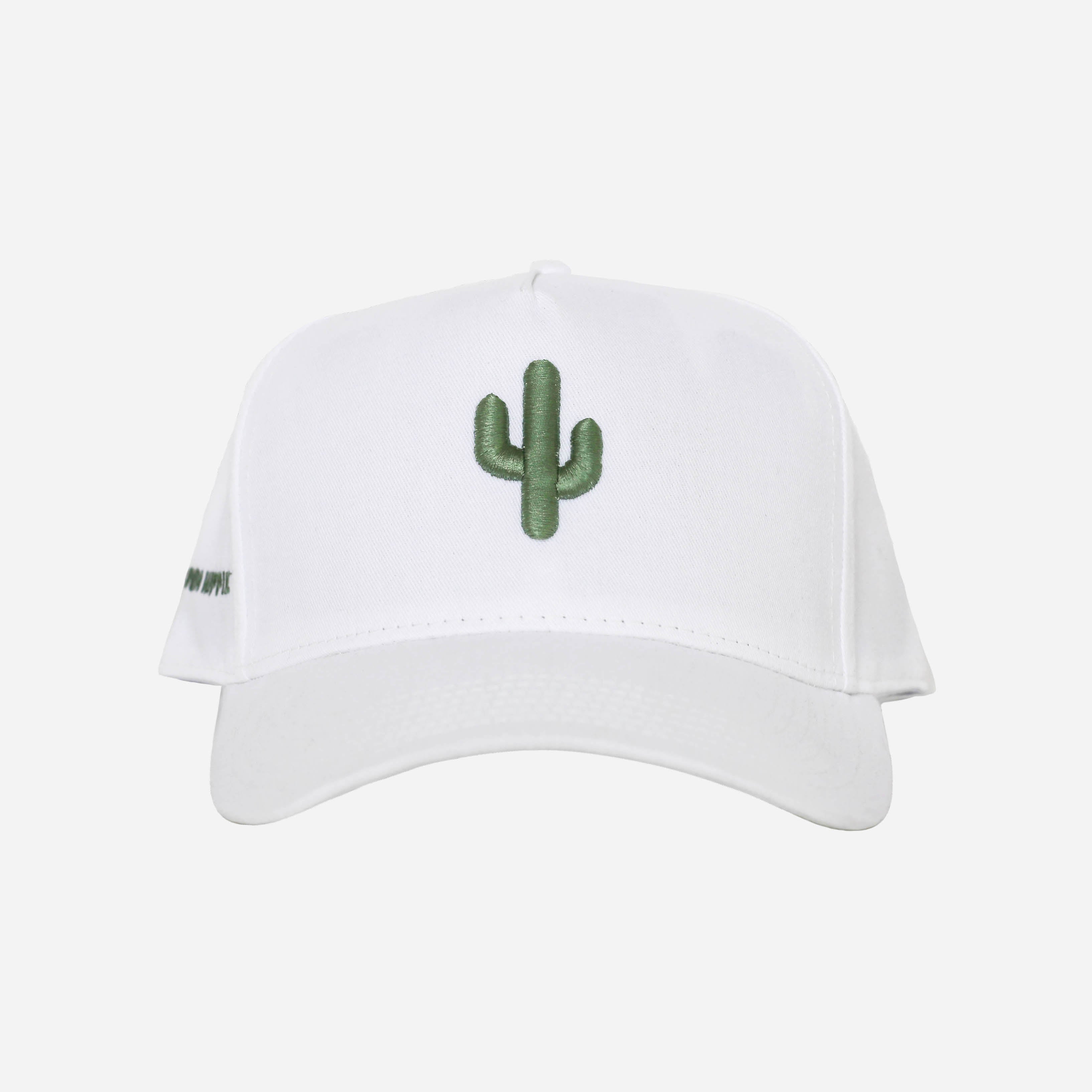 Cactus Snapback Hat
